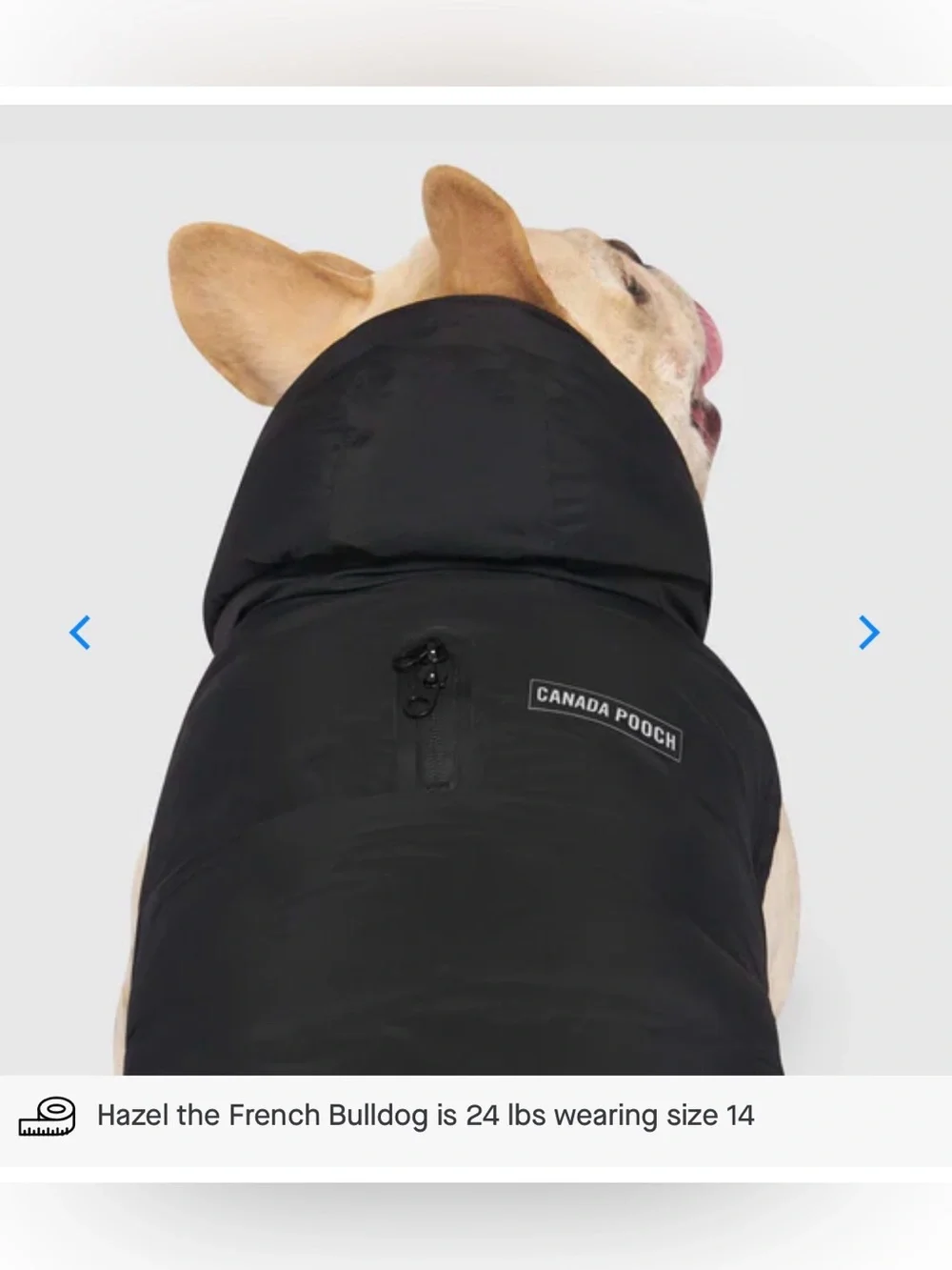 NWOT Canada Pooch Black Waterproof Puffer Size 14+